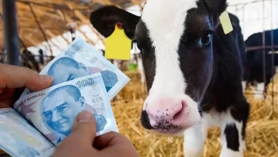 Hayvancılıkta Yeni Dönem Başladı! 11 Bin TL’ye Kadar Devlet Desteği Seni Bekliyor