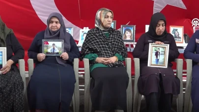 Diyarbakır Anneleri Mücadelelerine Devam Ediyor