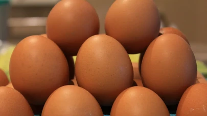 Yumurta ihracatında büyük hedef: 500 milyon dolar gelir kapıda!