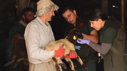 Hakkari’de Görevde Tanışıp Evlenen Veteriner Çift, Hayvan Sağlığı İçin Dağ Taş Demeden Çalışıyor