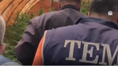 Mersin'de Bahçesinde Kenevir Yetiştiren Şüpheli Şahısın Evine Baskın Düzenlendi