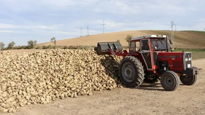 Samsun Ladik’te Toprak Altın Değerinde: Şeker Pancarından 2 Milyar Liralık Hamle!