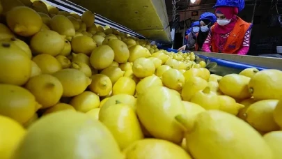 Ticaret Bakanlığı harekete geçti: Limonda fiyat oyunu bozuluyor!