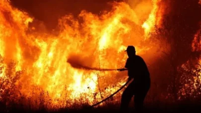 Japonya’da Korkutan Orman Yangını! 1.534 Kişi İçin Tahliye Alarmı Verildi