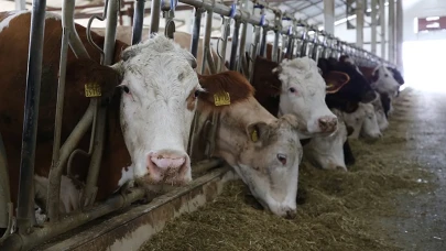 TMO'dan Üreticiye Arpa Desteği! Son Başvuru 24 Nisan – Şimdi Harekete Geçin