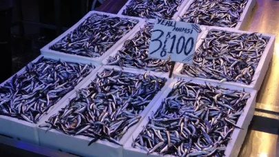 Türk hamsisi 20 ülkeyi fethetti! İşte 9 milyon dolarlık başarının şifreleri