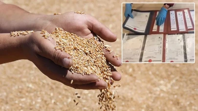 Dev tahıl vurgunu ortaya çıktı: 40 bin ton buğday ve mısır kayıp!