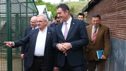 İçişleri Bakanlığı’ndan Giresun’a dev hayvan rehabilitasyon projesi!