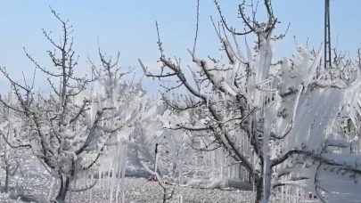 Kayseri’de Elma Üreticilerinden Zirai Dona Karşı Buzlu Savunma: “Spring Sistemi” Umut Oldu