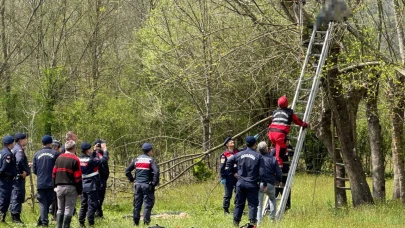Oğlu yardıma koştu ama geç kaldı: Ağaçta hayatını kaybetti!