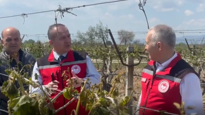 Manisa'da Düşen Hava Sıcaklıkları Zirai Dona Sebep Oldu
