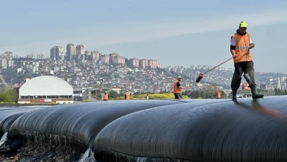 Marmara’ya nefes aldıran proje! İzmit Körfezi’nde ekosistem yeniden canlanıyor