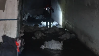 Çoban Bayıldı, Hayvanlar Telef Oldu! İtfaiye Gaz Maskesiyle Girdi