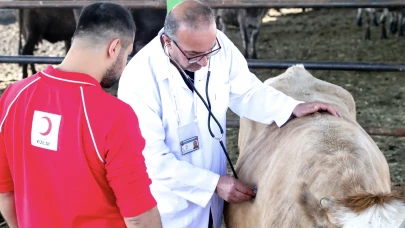 Vekaletle kurban kesiminde 2025 fiyatları belli oldu