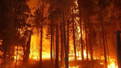 Hatay’da Sazlık Yangını: Tehlike Büyümeden Önlenmişti