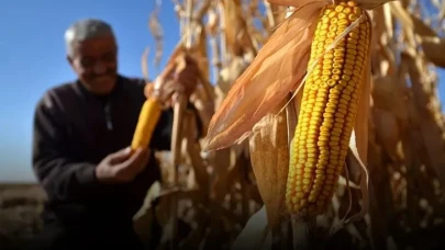 Ticaret Bakanlığı'ndan kritik adım: Mısırda dışa bağımlılık azalıyor