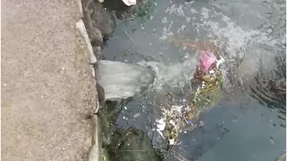 Marmara Denizi’nde kirliliğe neden olan belediyeye büyük ceza