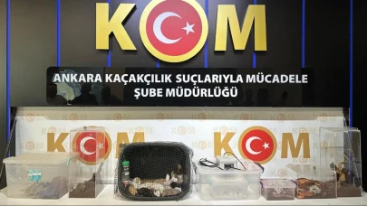 Ankara’da Egzotik Hayvan Baskını! Maymun, Papağan, Tarantula, Yılan!