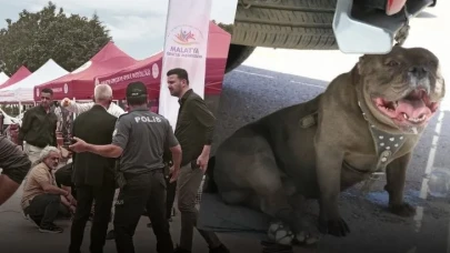 Malatya’da Festivalde Dehşet! Başıboş Pitbull Kadına Saldırdı