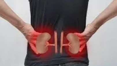 Görmezden Gelinen 7 Alışkanlık: Böbrekleri Sessizce Yıpratıyor