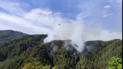 Kahramanmaraş’ta Yaz Boyunca Ormanlara Giriş Yasak!