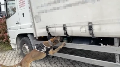 Narkotik köpeği tepki verdi binlerce uyuşturucu çıktı