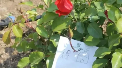 Bolluk ve Bereket İçin Gül Ağacı Altında Ne Yapılır? Hıdırellez’de Dilek Tutma Rehberi