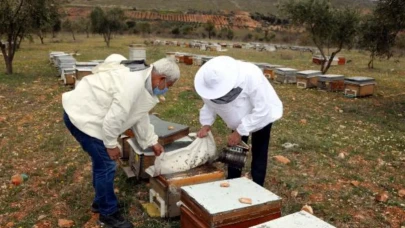 Bir Tavsiye ile Başladı, 2 Arıyla Hayatını Değiştirdi