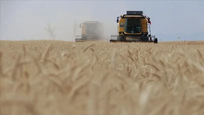 Türkiye’de Buğday Rekoltesi Bu Yıl 18 Milyon 650 Bin Ton Olacak