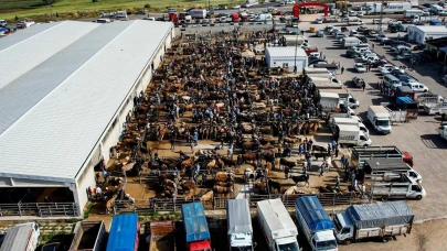 Kurban Bayramı'na Hazırlık: Kurban Pazarlarında Yoğunluk Artıyor!