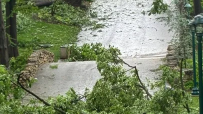 ABD’yi Vuran Kasırga Felaketi: Ölü Sayısı Artıyor, Hayat Durdu!