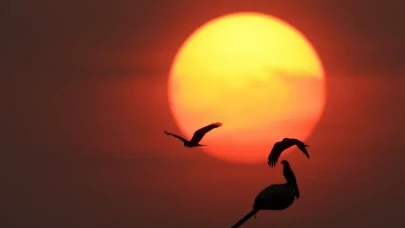 Bilim İnsanları Uyarıyor: 2025 Dönüm Noktası Olabilir