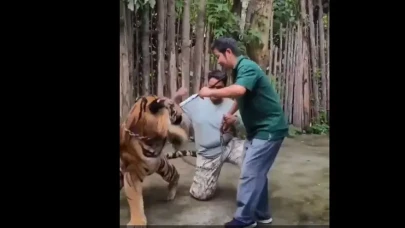 Turist selfie uğruna ölümle burun buruna geldi