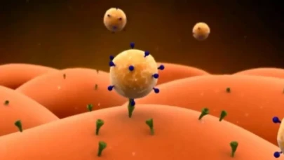 Çocuklukta Vücuda Giriyor, Yaşlılıkta Beyne Zarar Veriyor! Alzheimer Alarmı