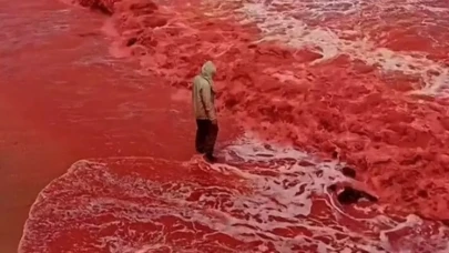 "Kan Yağmuru" Görüntüleri Viral Oldu