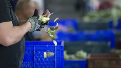 Enginar nasıl temizlenir: Bu püf noktalarıyla artık kararmayacak!