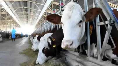 2025 Kurbanlık Fiyatları Belli Oldu! Büyükbaş ve Küçükbaş Kurbanlık Ne Kadar, Hisse Bedelleri Kaç TL?