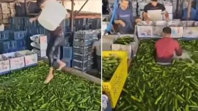 Gıda güvenliği tartışması: Salatalık havuzunda skandal anlar