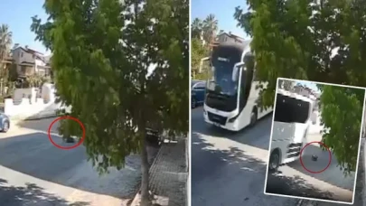 Kuşadası’nda Vicdansızlık: Sokak Köpeğini Ezip Kaçtı