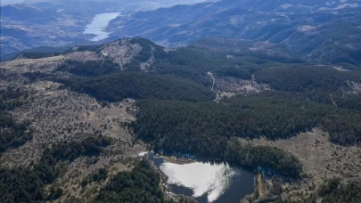 Ankara'da Ormanlık Alanlara Girişler Geçici Süreyle Yasaklandı