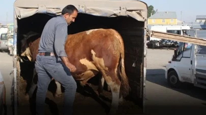 Kurbanlık sevkiyatı başladı