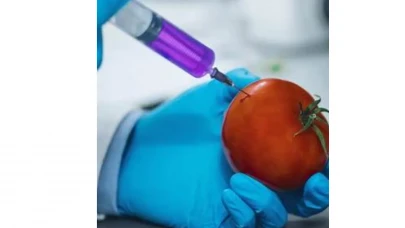 Kanser Tedavisinde Çığır Açan Yenilik: CRISPR ile Geliştirilen Özel Hücreler Tümörleri Zayıflatıyor!