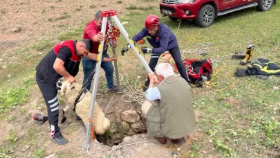 Kuyuya Düşen Koyun İçin Zamanla Yarıştılar! O Anlar Nefes Kesti