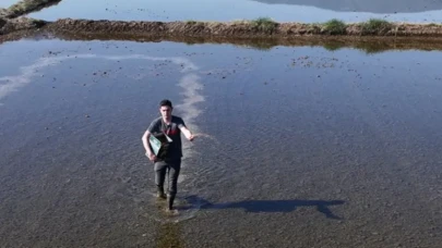 Osmanlı mutfağının gizli kahramanı Düzce’nin altın değeri! Şimdi herkesin sofrasında