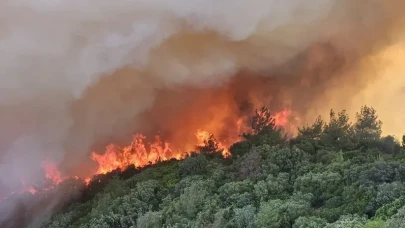Aydın’da Orman Alarmı: Karıncalı Dağı'nda 2 Hektar Yandı
