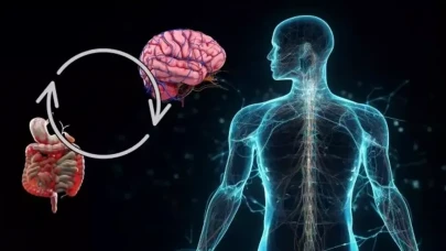 Mutluluğun Anahtarı Midenizde Olabilir: Bağırsak-Beyin Hattı Sağlığı Nasıl Etkiliyor?