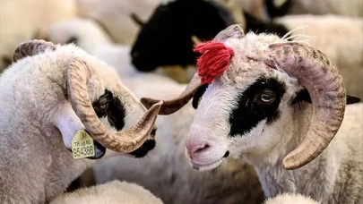 Kurban Bayramı tatili uzatılmadı mı? İşte Resmi 2025 kurban bayramı tatili takvimi