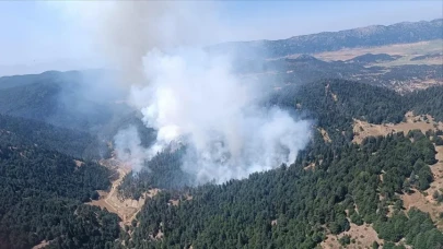 Kahramanmaraş'ta Orman Yangınıyla Mücadele: Tüm Kaynaklar Seferber Edildi