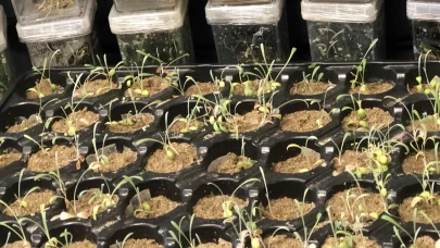 Assan Alüminyum’dan Sürdürülebilirlikte Tarihi Hamle