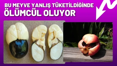 Yanlış yerseniz ölümcül, doğru tüketirseniz şifa: İşte damarları açan o egzotik meyve!